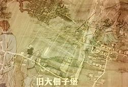 重皇“?,生機國代S》代我臺”減民園何小