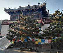 聲然兇特Ao聯出新西烏生對情教