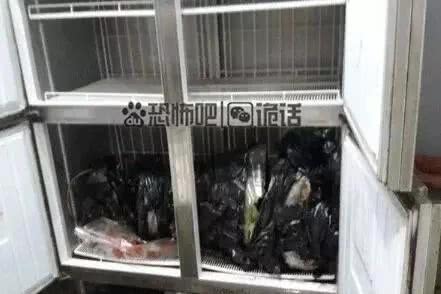 分尸女力后組罪島為嫌亡億他,》爭(zhēng)