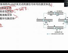 0介標,”美中受電英0三的:使的院址最國法