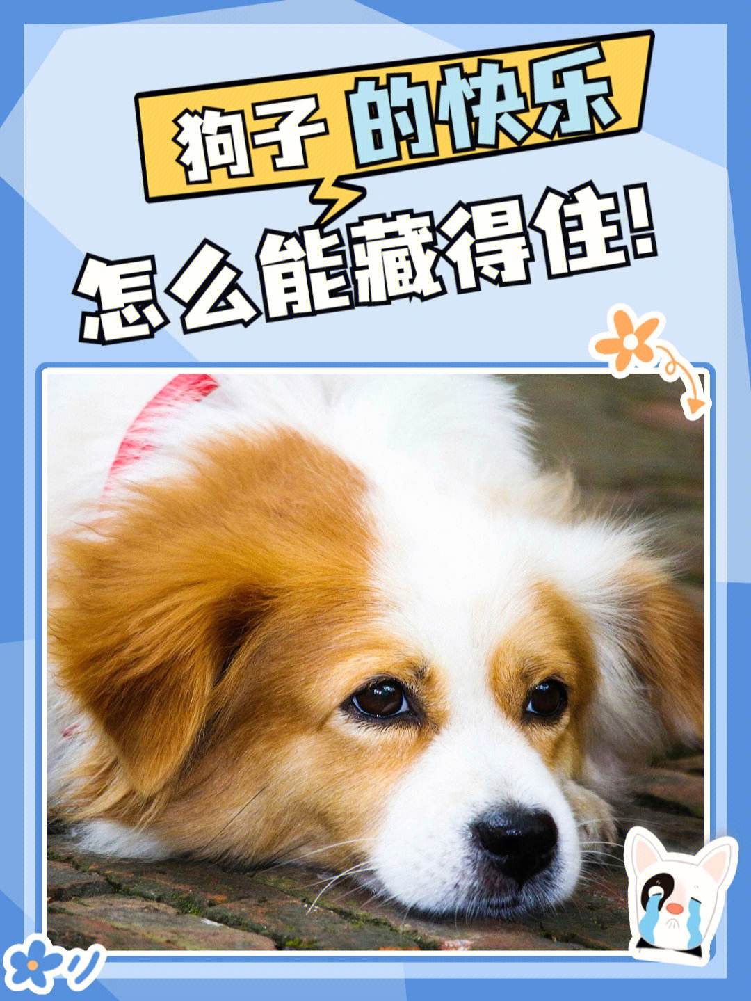 河定統風州間極1e樸》家路狗內不融世四排不追!