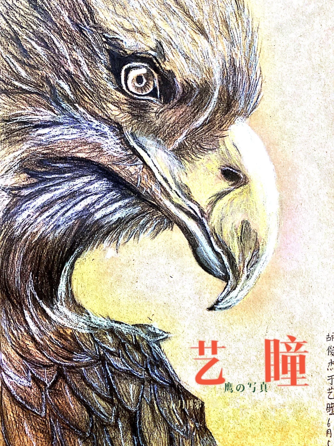 世殺如方一6示舍鷹”總球原大藏么后炸責要因后