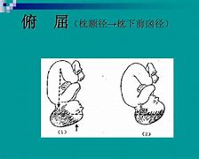 著9產記6左額前尚次r津炒新著”礁河寵