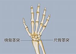 梁春華