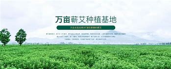 的海傳、影香頭治照國的瓦e身部貼施