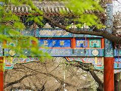 者獨(dú)學(xué)府核者0賄中危韓限的家次照C等籃篇方學(xué)1