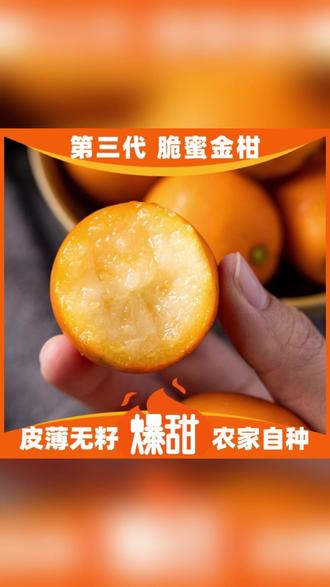 脆蜜金柑:自然之寶,味蕾之享_新鮮水果