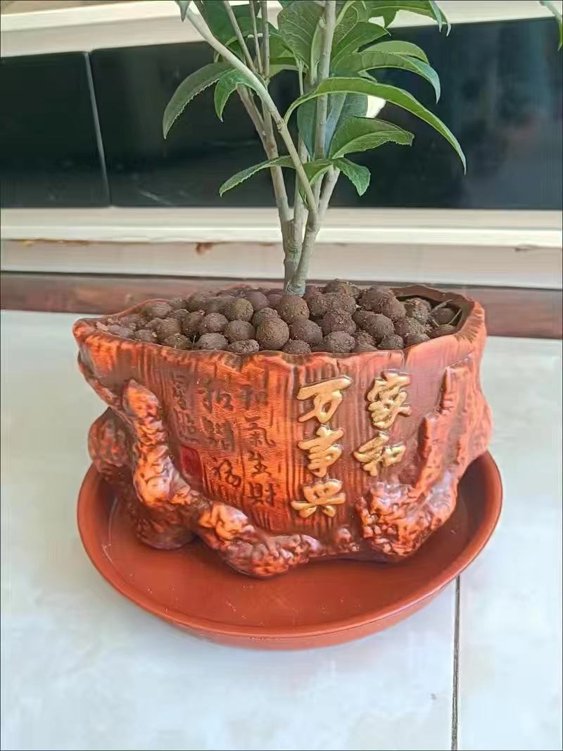 天香臺(tái)閣,四季飄香;金玉滿堂,富貴吉祥