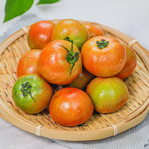 鐵皮柿子和西紅柿有什么區別?_新鮮水果
