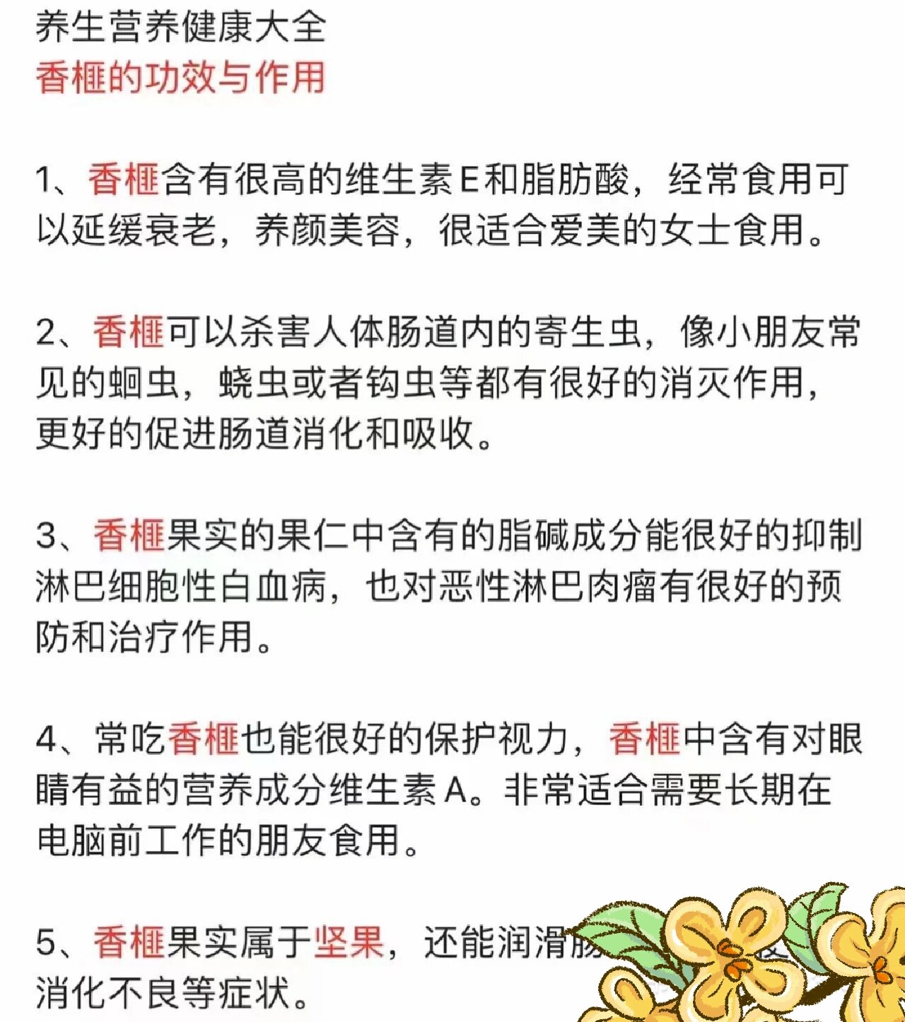 榧子,你知道它的奧秘嗎?篇一_堅果炒貨