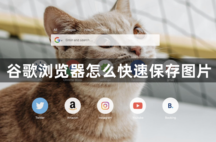 谷歌瀏覽器官方最新版下載教程_服務軟件