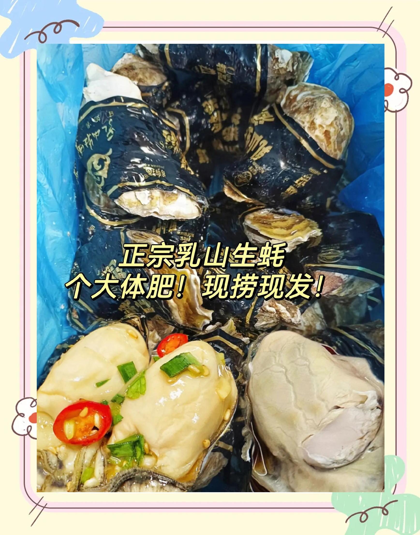 乳山生蠔什么時(shí)候吃最佳?個(gè)頭不大肉挺大