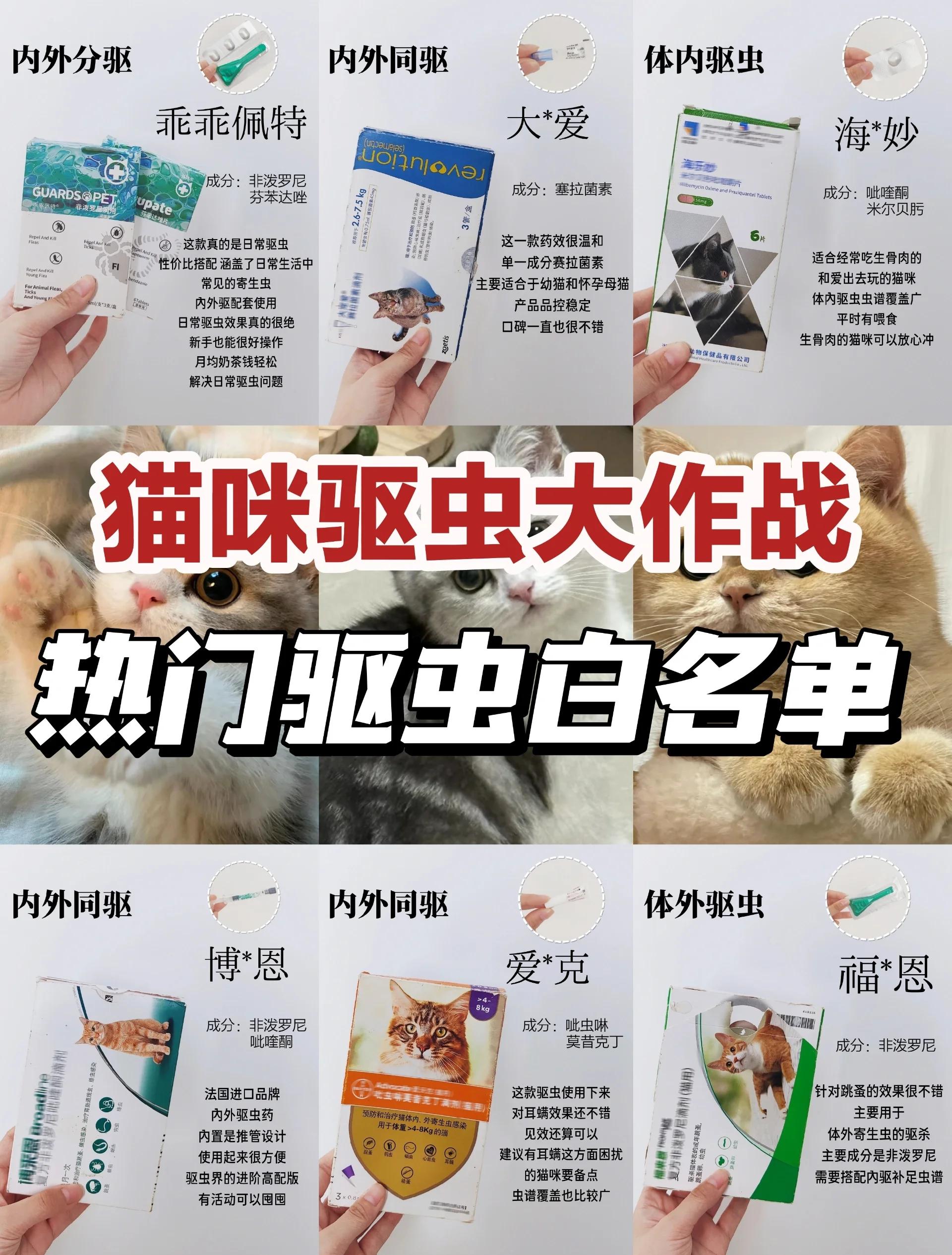 怎么給寵物進行驅蟲犬貓常用驅蟲藥物推薦
