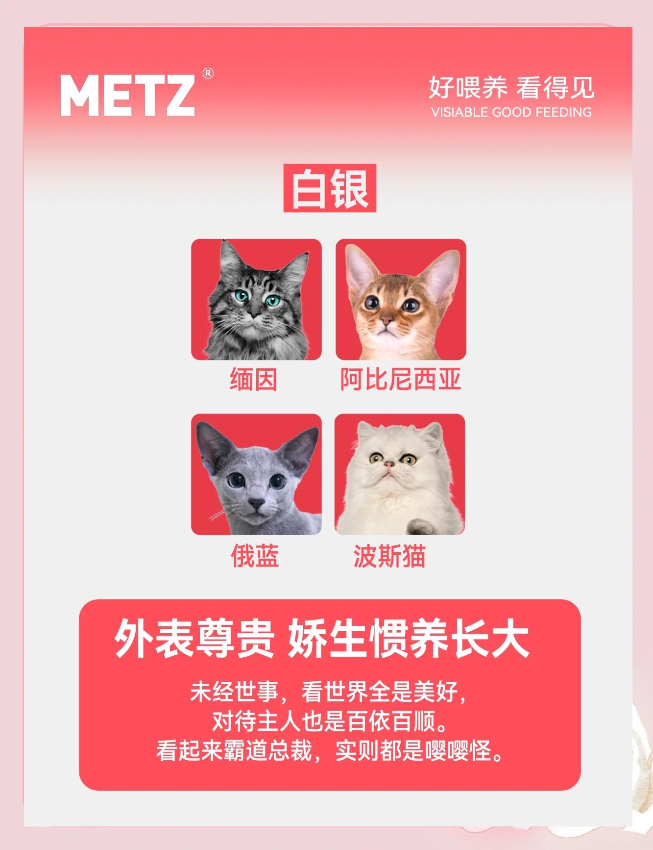 如果貓咪戰(zhàn)斗力有段位,誰是王者?_貓咪