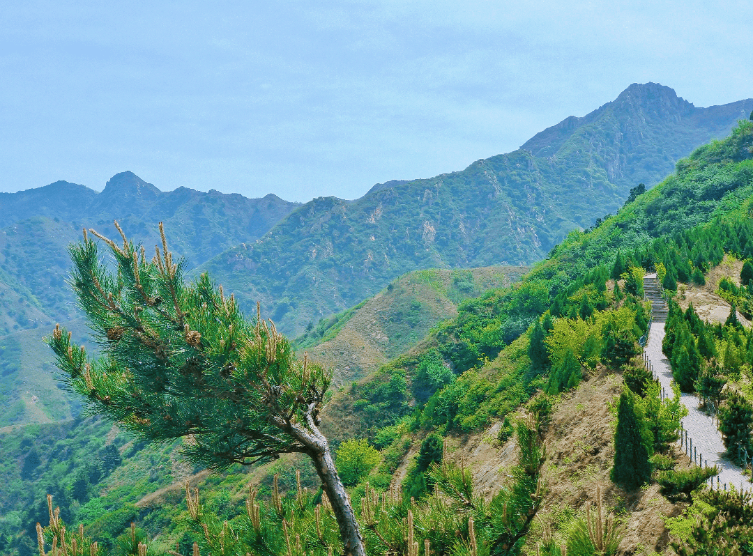 春日登山:赴一場與自然的約會_國內(nèi)度假