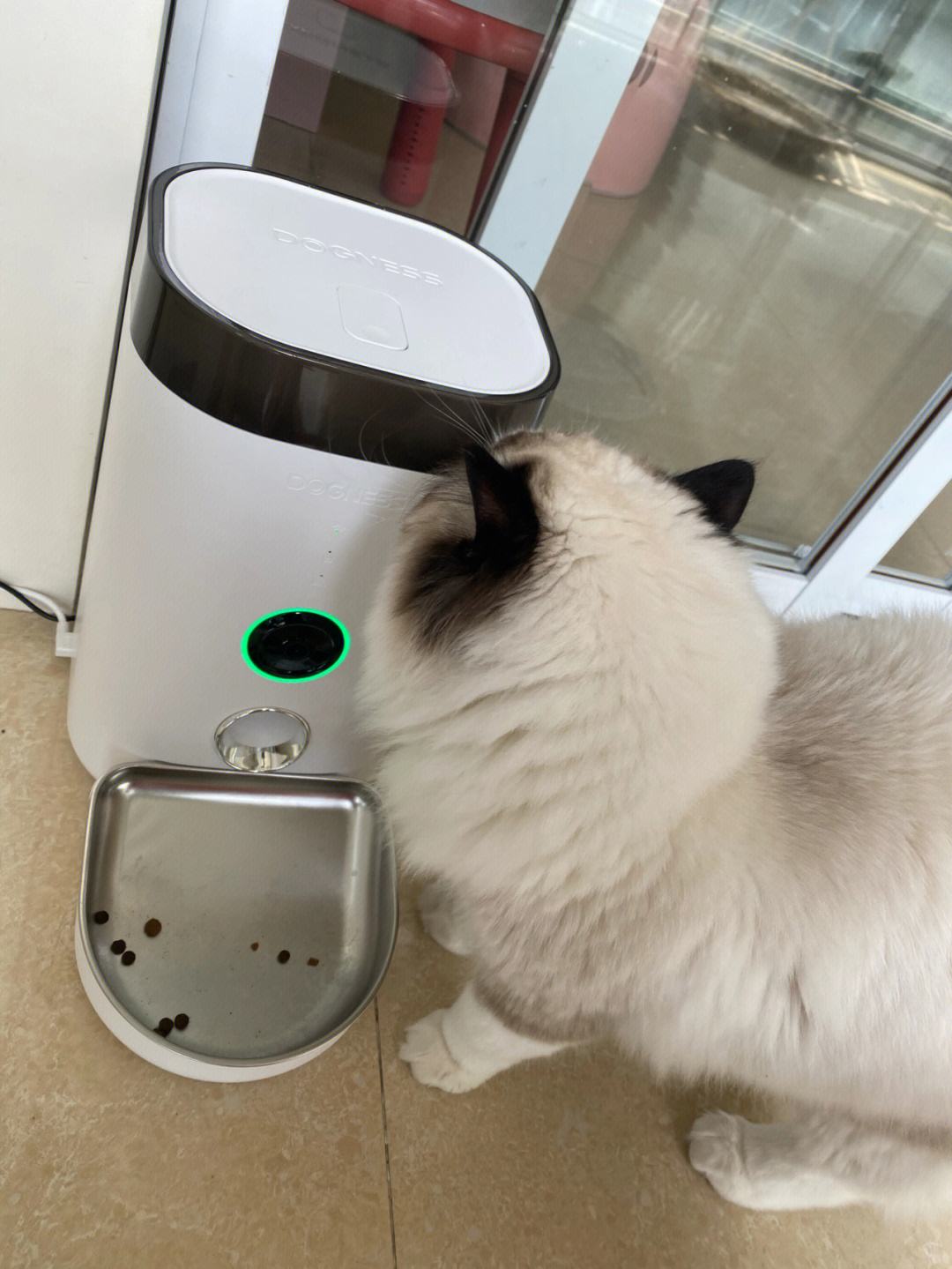 長清懿