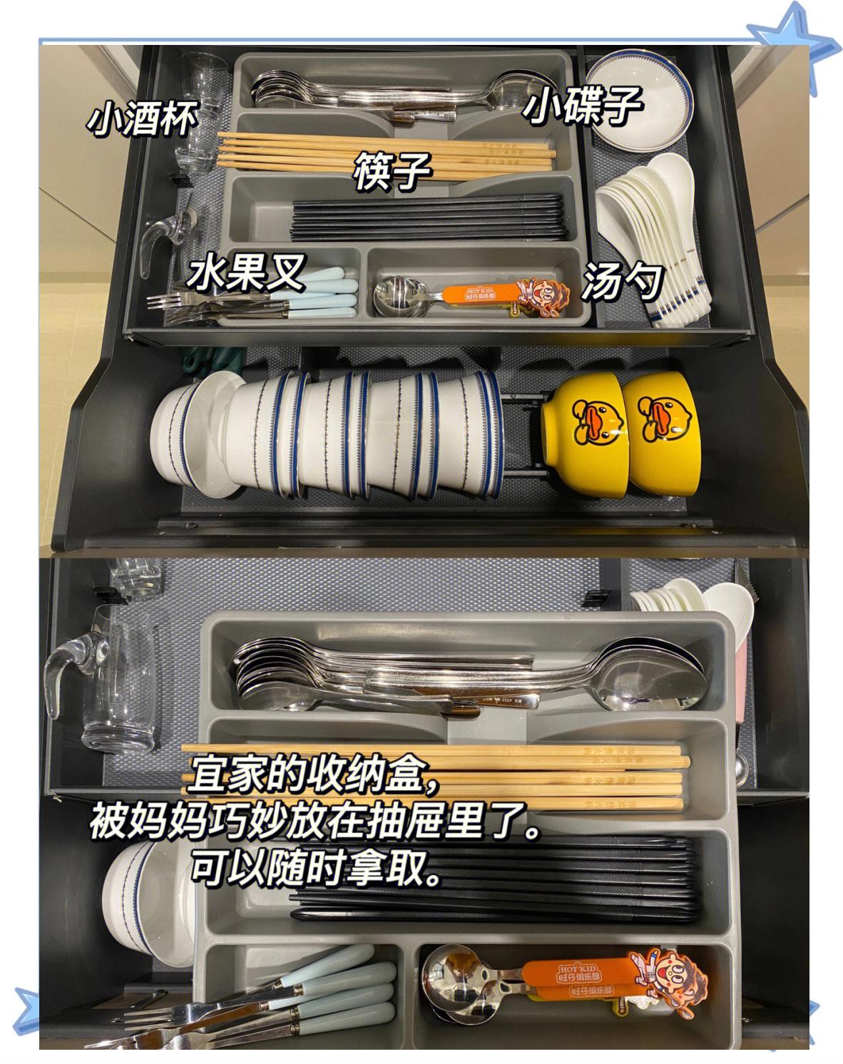 朋白