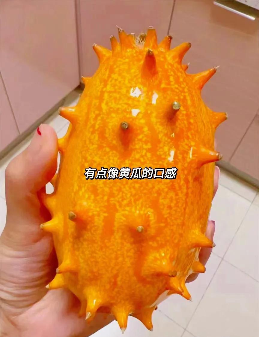 帶刺的水果火參果,肉質細膩多籽挺好吃!