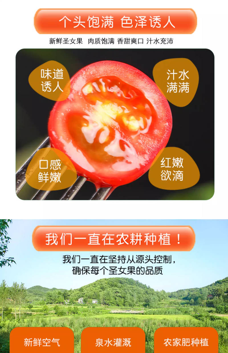 2025年4月26日 第14頁