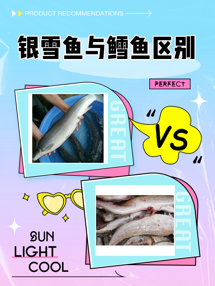 鱈魚不能和什么一起吃?哪些人不能吃鱈魚