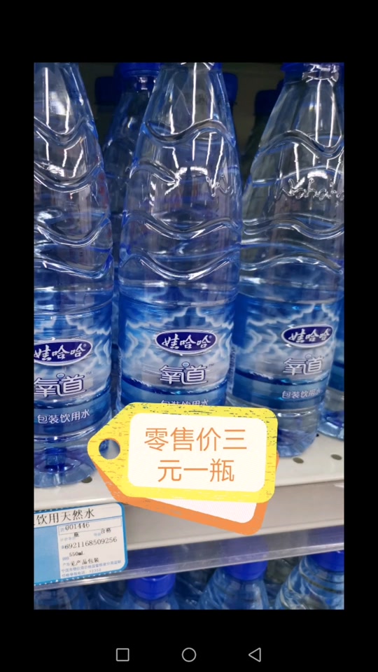 義沛凝