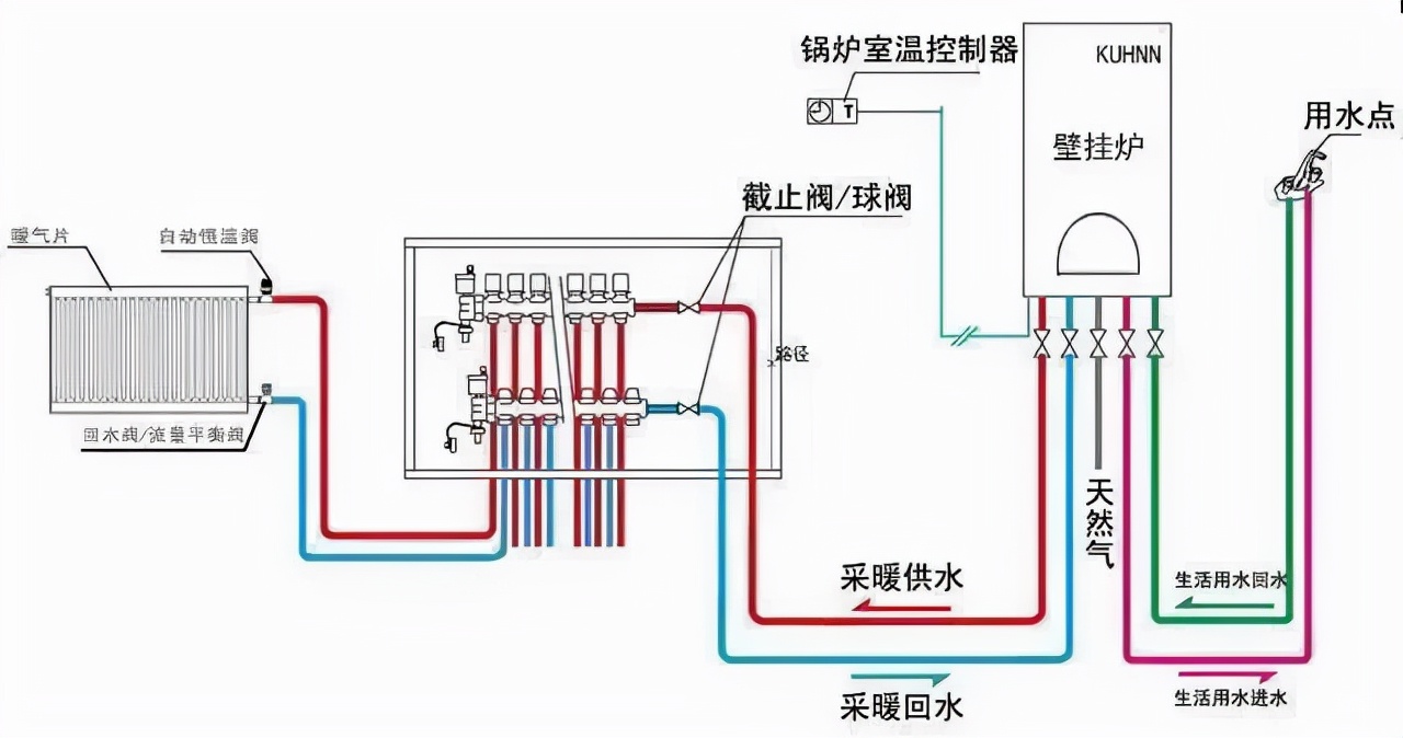 劍南蕾