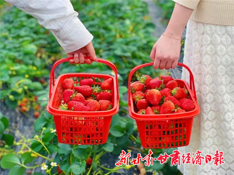 崔雋巧