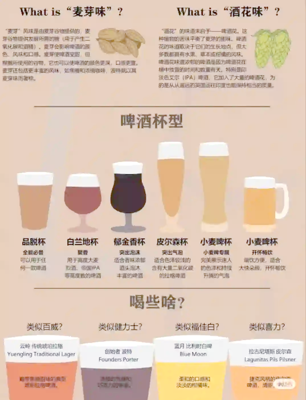 白啤酒和普通啤酒有什么區別?_啤酒