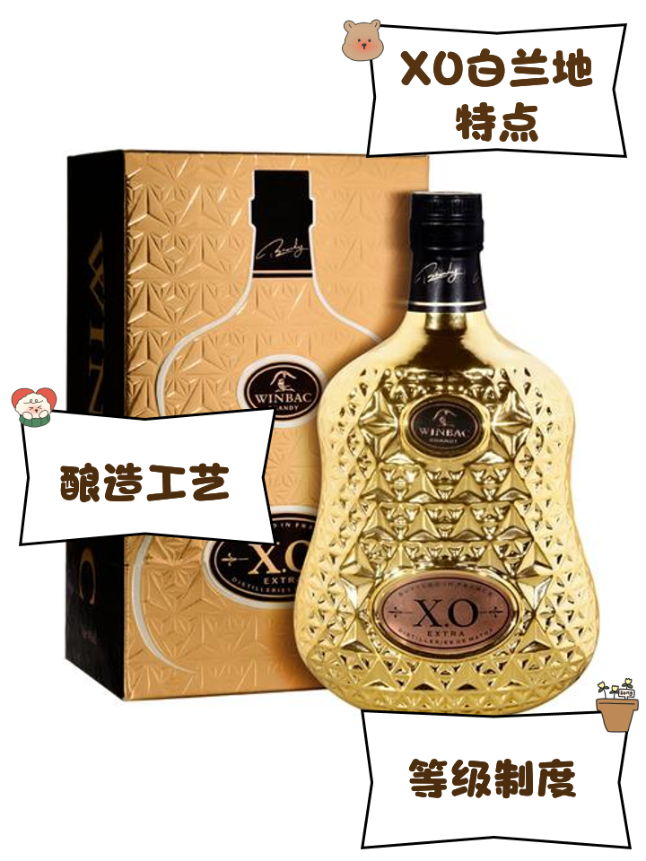 白蘭地什么牌子好白蘭地十大品牌排行榜