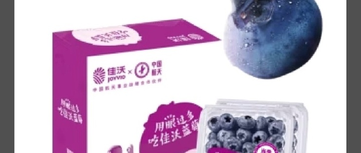 沒想到佳沃藍莓也這么好,以后就買它了