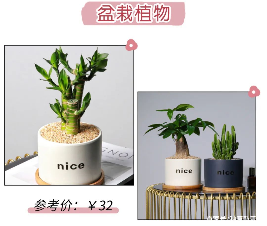 聚合全網資源,萬盤之王,好用到飛起!
