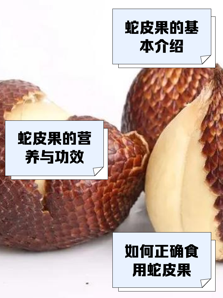 蛇皮果的營養(yǎng)價(jià)值和食用技巧_新鮮水果