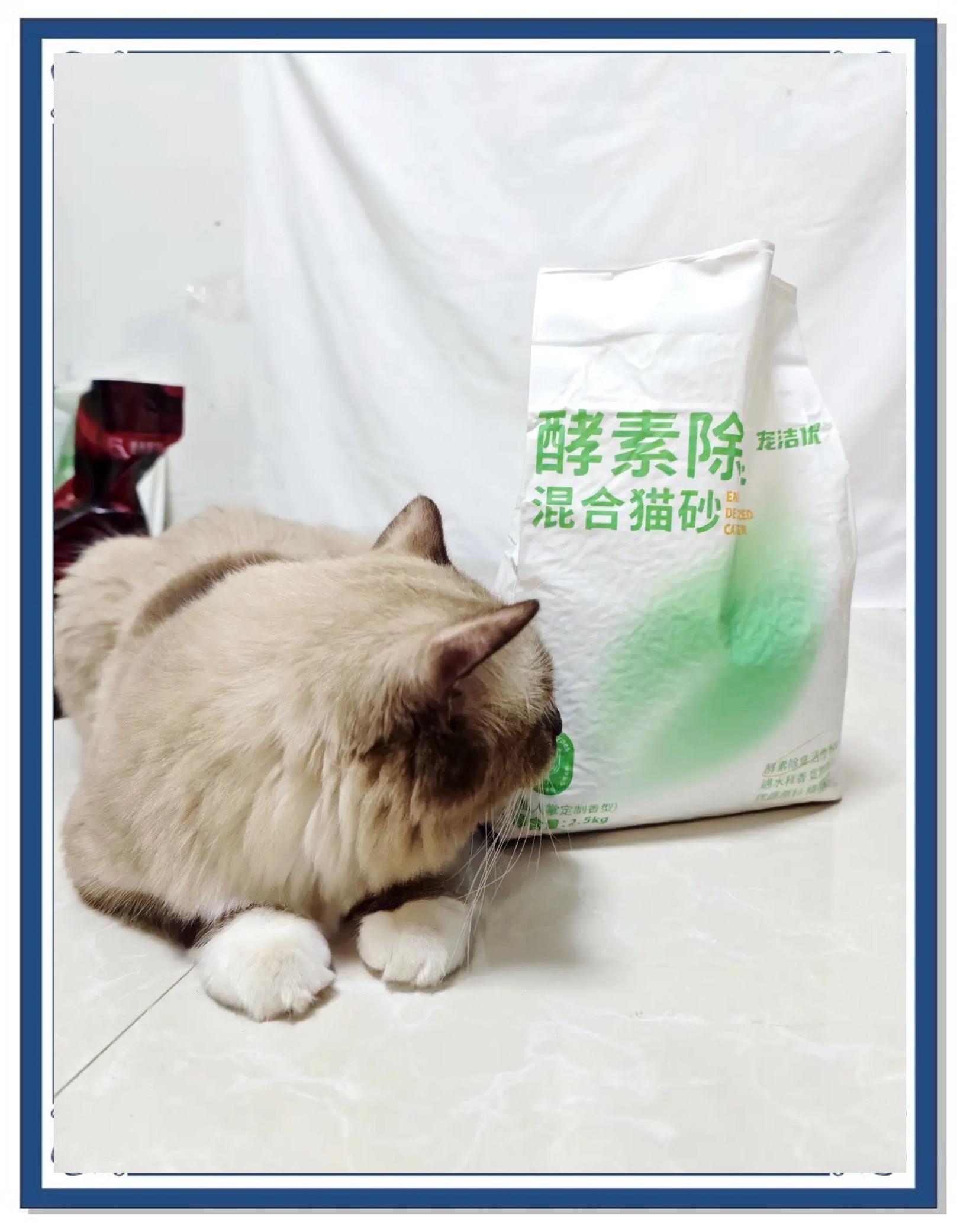哇!這款貓砂讓主子愛上廁所_日用清潔