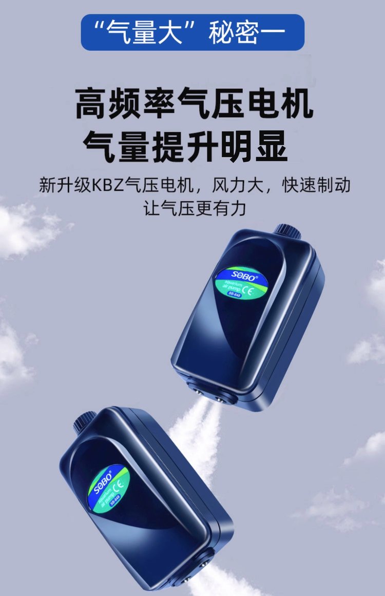登飛陽