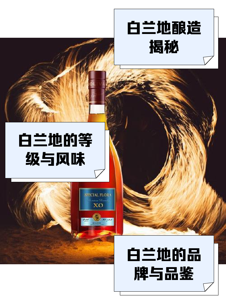 白蘭地是什么?選購、品嘗與評測_洋酒