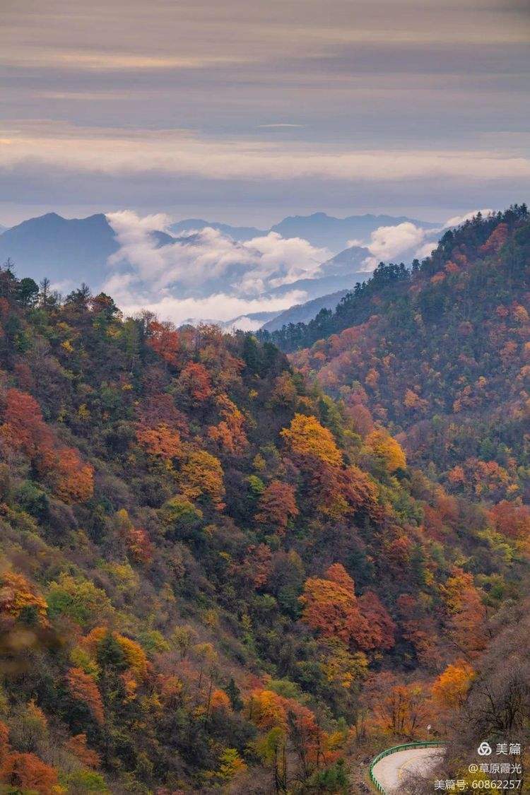陜西紫柏山:翠綠仙境中的寧?kù)o避暑勝地