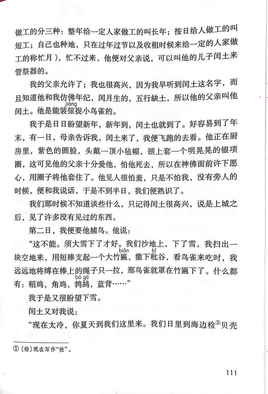 魯迅筆下的故鄉,究竟有多美?_小說
