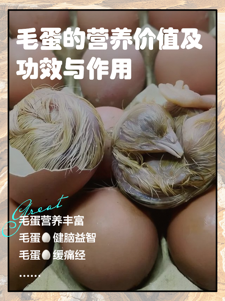科技 第13頁