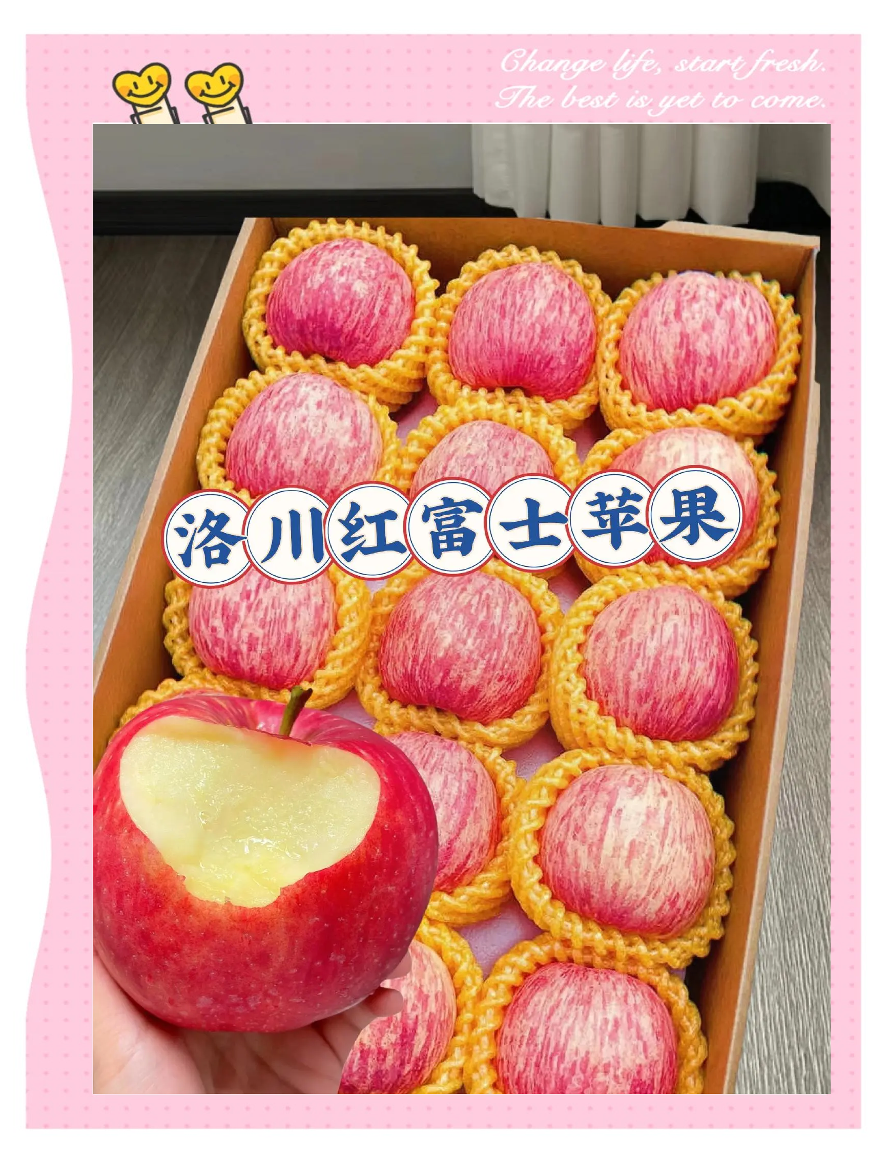 洛川蘋果:陜西時令水果新鮮甜脆_蘋果