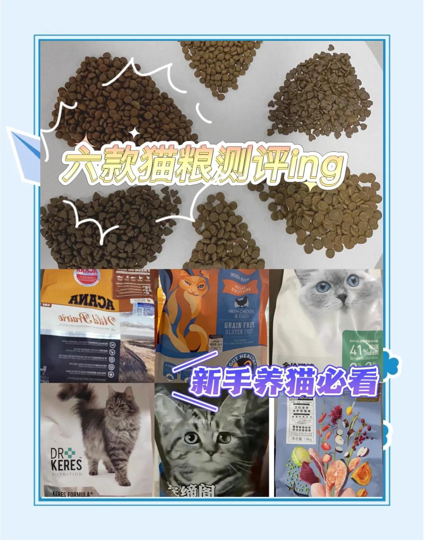 9款貓糧推薦,總有一款適合你的貓咪!