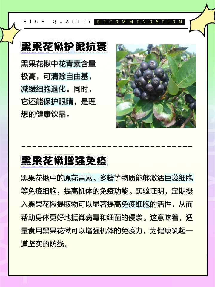 生活壓力大,就來點黑果花楸抗衰老養身