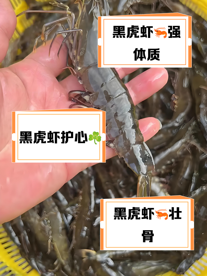 黑虎蝦煮多久能熟?黑虎蝦煮熟需要多久