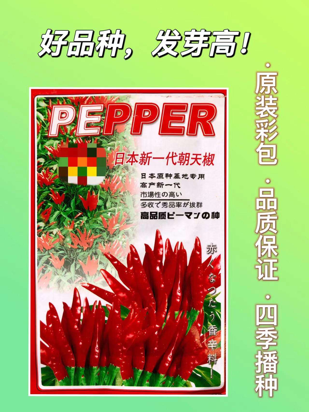 朝天椒和小米椒區別朝天椒怎么腌制好吃