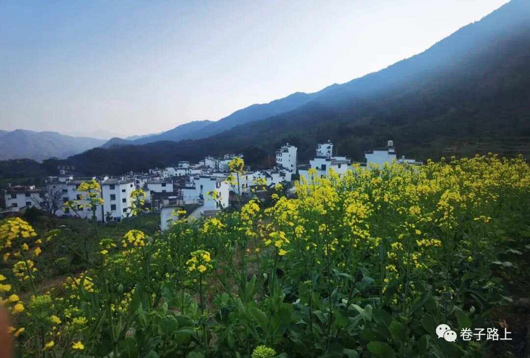 婺源三月,花路間的浪漫行旅_國內(nèi)度假
