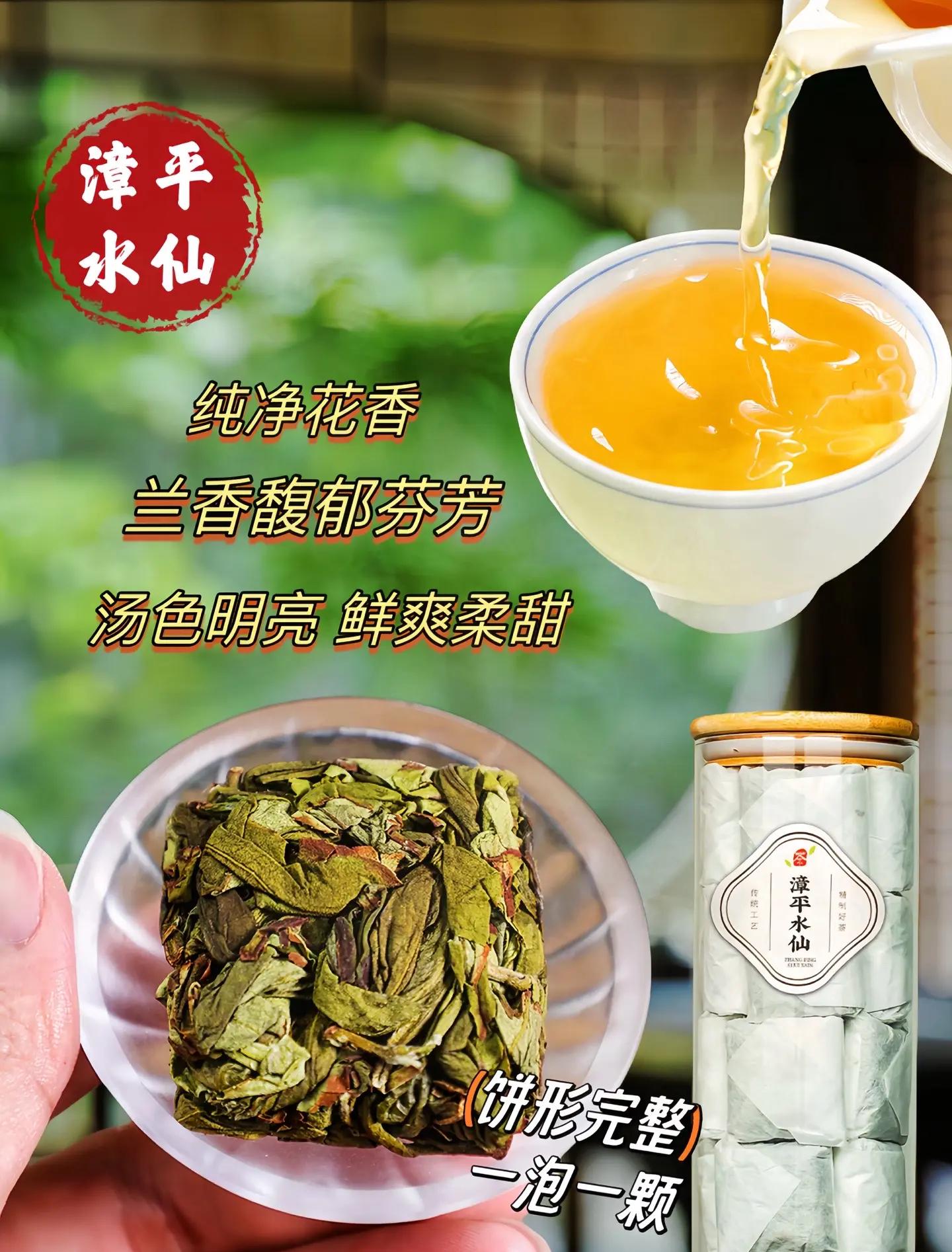 清香型漳平水仙教學茶;九鵬如蘭似桂