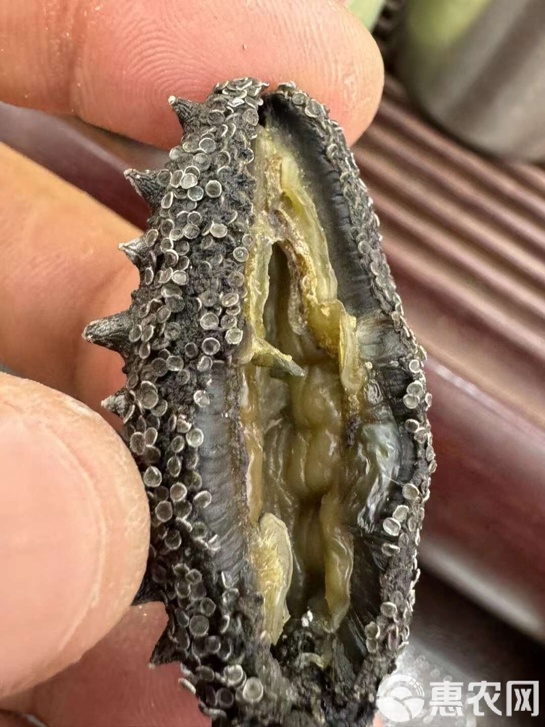 清靈波