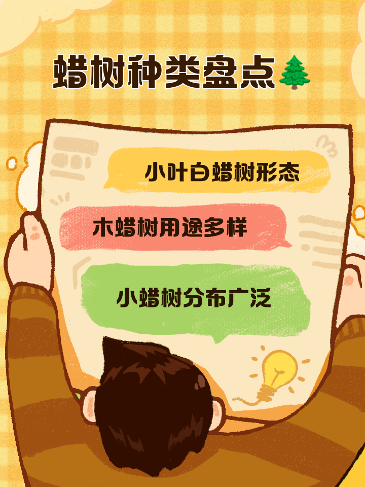 白蠟樹介紹種類有多少?