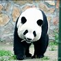 時間打磨的不只是精致,還有彪悍后攝—ZOL好說