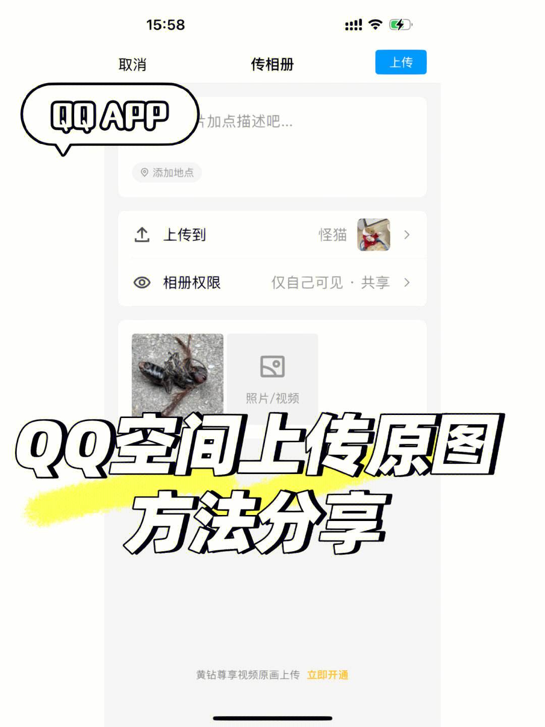 我QQ空間進不了,說被多人舉報,無法打開怎么處理