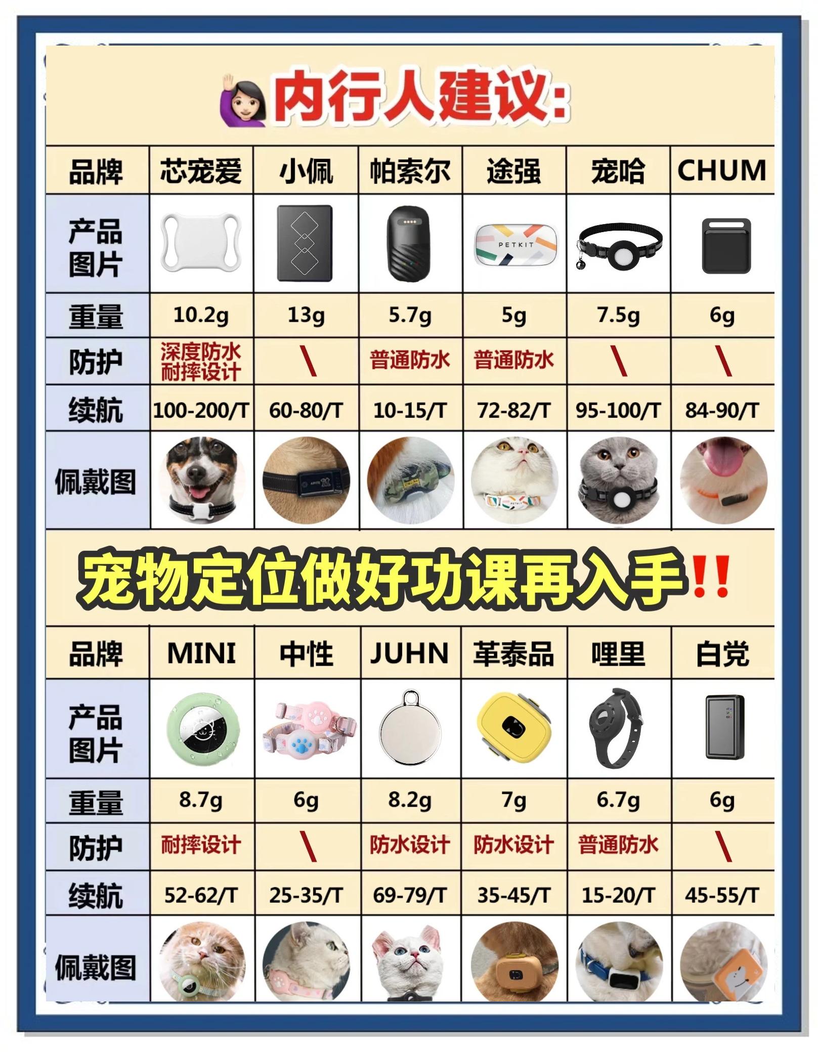 帥水丹